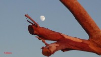 /album/eikones-apo-ellada/dsc00591-jpg/