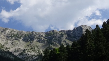 M. Dirfi